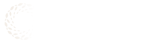 Delavy Logo